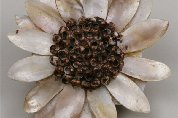 Sunflower brooch from Japanese American interment camp