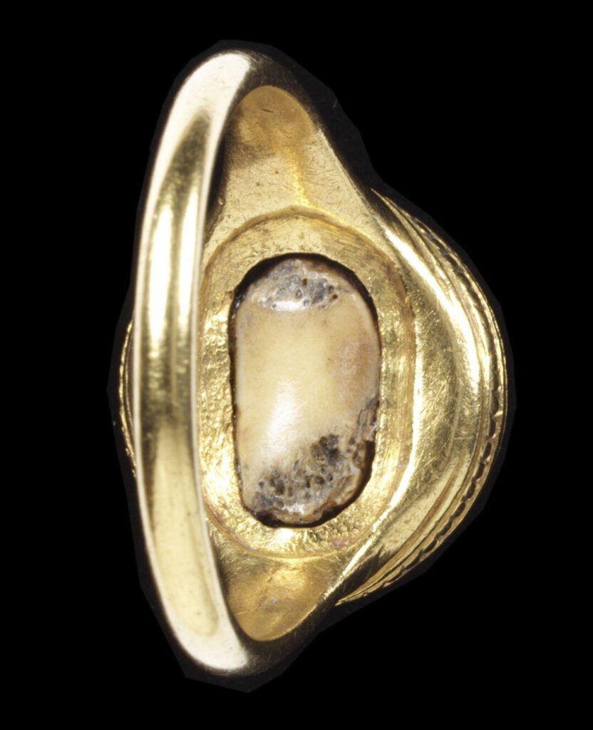 Back of ring showing the small piece of bone set in an oval opening and the smooth gold hoop of the ring. The bone complements the skull on the bezel of the ring, symbolising mortality. 