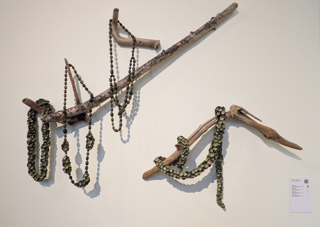 Set of seaweed neckpieces by Iona Turner displayed over pieces of driftwood fixed to the wall. Collect 2024.